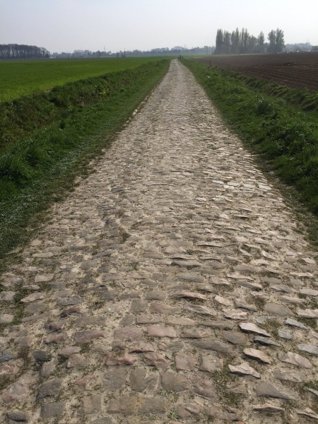 115. Paris-Roubaix 2017 mit 29 Pavéabschnitten in 257 Km und 200 Fahrer