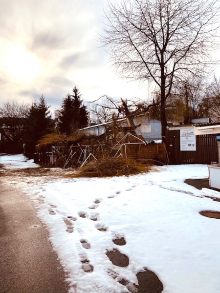 Schnee und Sturm hat auch die Offene Rennbahn Oerlikon getroffen