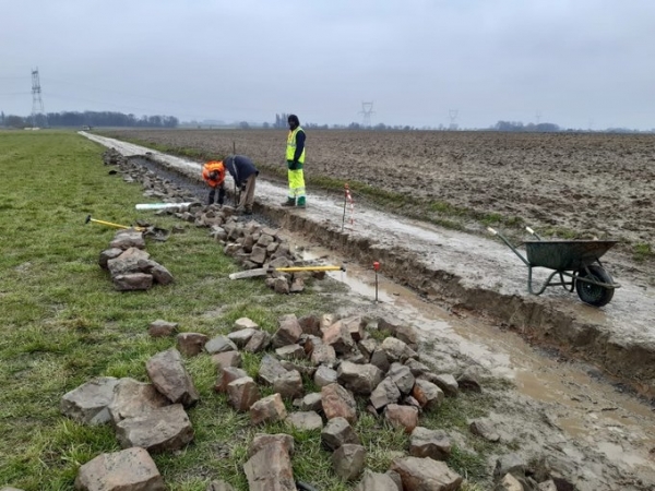 Paris-Roubaix 2022: Die ASO hat die Wildcard vergeben