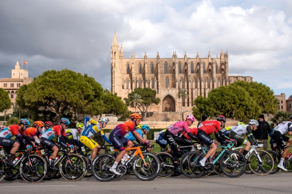 Heute starten die Elite Herren zu 5 Eintagerennen auf der Radinsel Mallorca