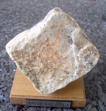 Tadej Pogacar fährt 2025 die Flandern Rundfahrt und Paris Roubaix