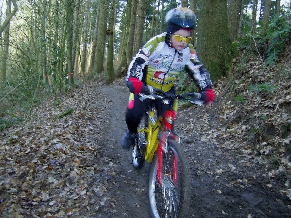 Valhelm Vlaanderen t-interim
