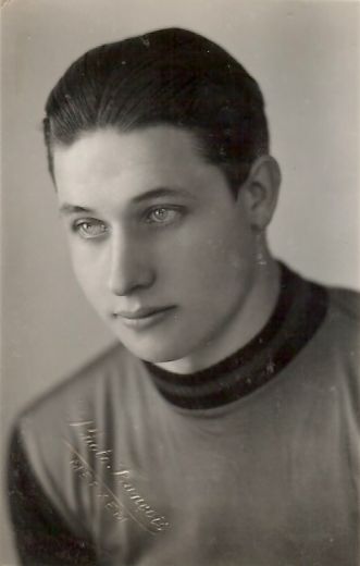 Hopstaken, Theo